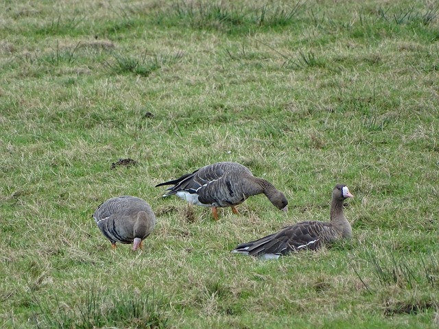 是一个悬而 是一个悬而