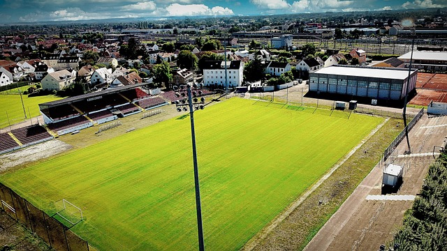 这类互动 这类互动