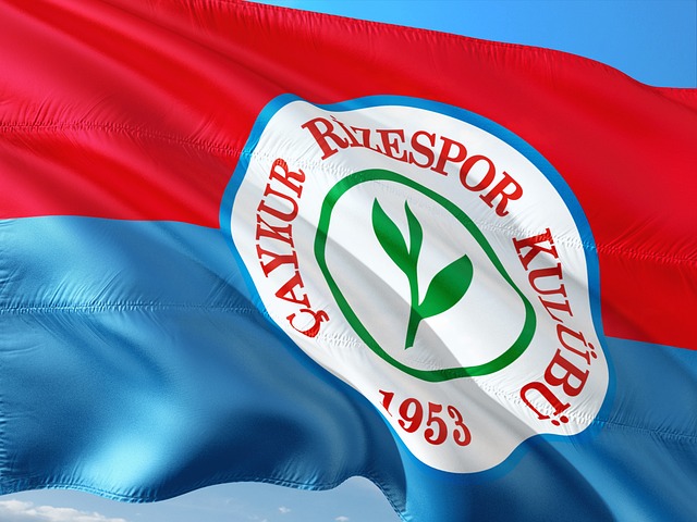 一个典型的 一个典型的