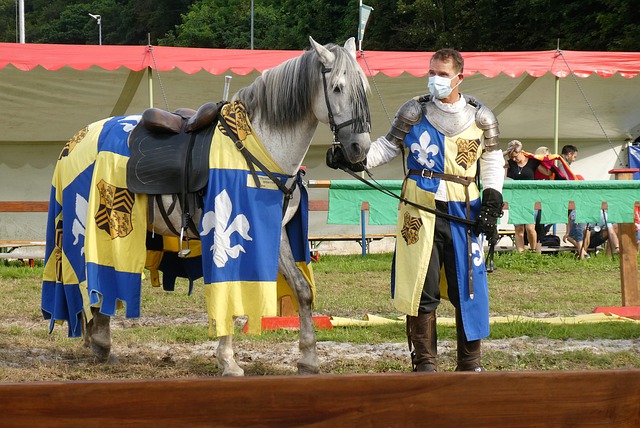 该球场的站 该球场的站