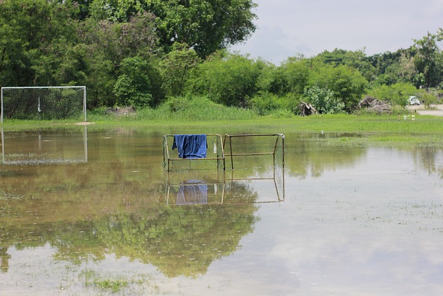 纵观足球史 纵观足球史
