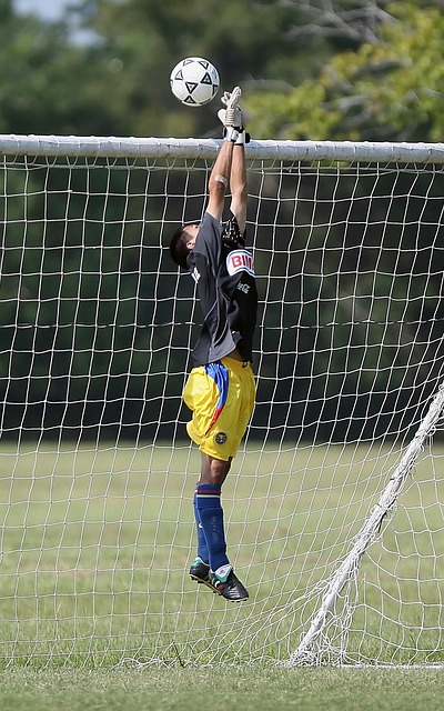 成功塑造了 成功塑造了