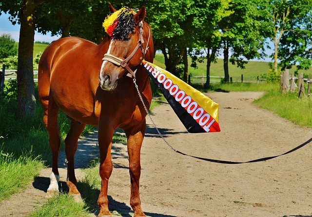 及资源优势 及资源优势